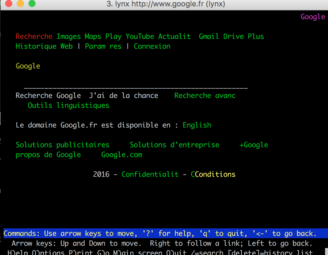 Google en version Lynx